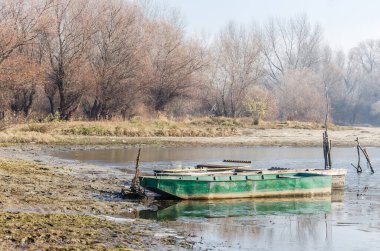 Danube Island Sodros near Novi Sad, Serbia. Gray and white landscape with snow covered trees and frozen water.
