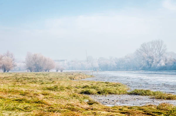 Danube Island Sodros near Novi Sad, Serbia. Gray and white landscape with snow covered trees and frozen water.