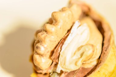 Ripe walnut fruits. Ripe walnut fruit on a ceramic pot.