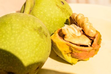 Ripe walnut fruits. Ripe walnut fruit on a ceramic pot.