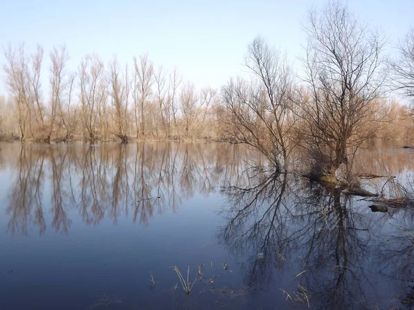 Automne Marécageux Paysage Ensoleillé Une Vue Panoramique Sur Marais Pendant — Photo