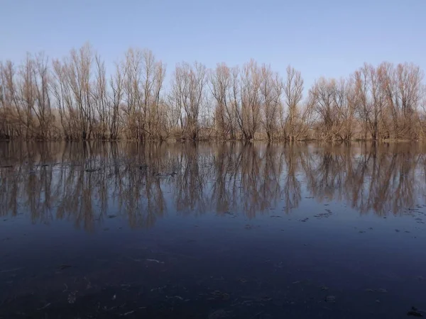 Болотої Осені Сонячний Пейзаж Панорамний Вид Болота Осінній Сонячний Період — стокове фото