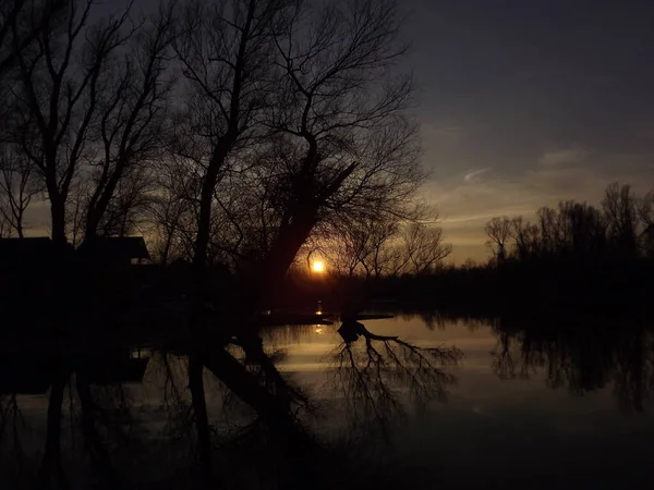 A panoramic view of the autumn sunset over the backwaters of the Danube River. A panoramic view of the backwater of the Danube river in the autumn period of the day.