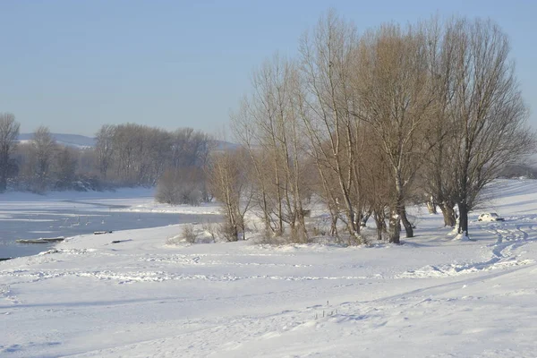 Blick Auf Den Nationalpark Blick Auf Den Nationalpark Winter Mit — Stockfoto