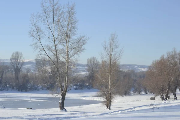 Blick Auf Den Nationalpark Blick Auf Den Nationalpark Winter Mit — Stockfoto