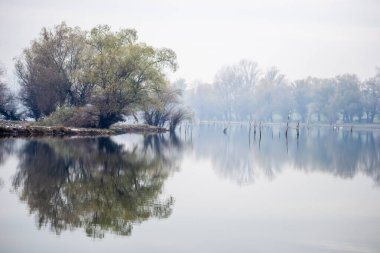 Ulusal Park 'ın panoramik manzarası. Kış mevsiminde kar ve buzla kaplı Ulusal Park 'ın panoramik manzarası.