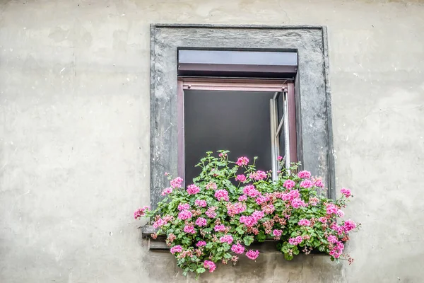 A window decorated with pink flowers. Pink flowers on the window of the house.