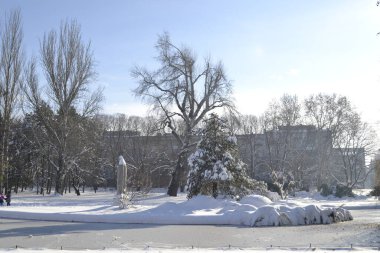 Novi Sad, Sırbistan - 10 Aralık. 2019: karla kaplı şehir parkının panoraması. Novi Sad, Voyvodina, Sırbistan.