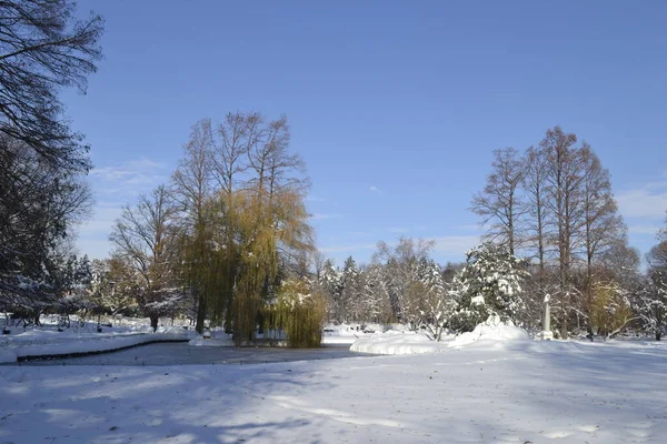 Novi Sad, Serbia - December 10. 2019: Panorama of the city park, covered with snow. Novi Sad, Vojvodina, Serbia.
