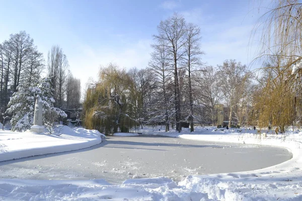 Novi Sad, Serbia - December 10. 2019: Panorama of the city park, covered with snow. Novi Sad, Vojvodina, Serbia.