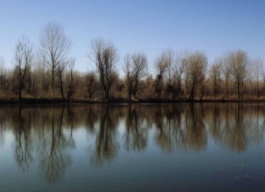 Sırbistan 'ın Novi Sad kenti yakınlarındaki ulusal parkın panoramik manzarası.