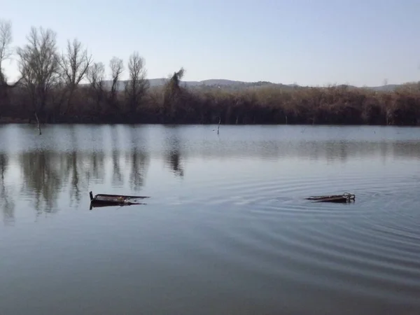 Vista Panorámica Costa Del Parque Nacional Cerca Novi Sad Serbia — Foto de Stock