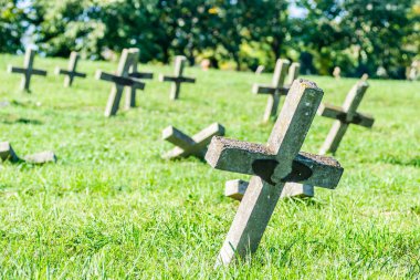 Eski askeri mezarlık. Askeri mezarlığın eski özdeş, ihmal edilmiş beton mezar taşı haçlarının panoramik bir görüntüsü..