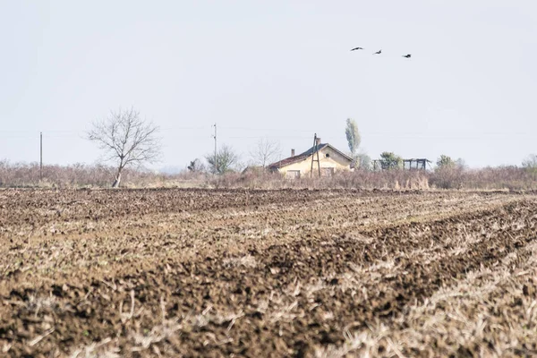 Arable land, agricultural landscape in winter.