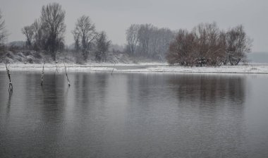 Kışın bataklık, sisli manzara. Kışın sisli bir günde bataklığın panoramik görüntüsü..