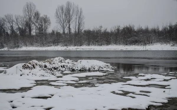 Sumpf Winter Neblige Landschaft Ein Panoramablick Auf Den Sumpf Einem — Stockfoto
