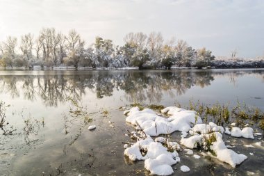 Kışın karla kaplı bataklık gölü. Kar ve buzla kaplı bataklık bir gölün kış manzarası.