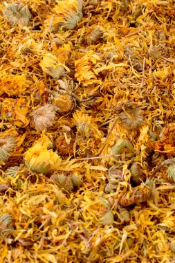 beyaz arkaplanda kuru takvim çiçekleri