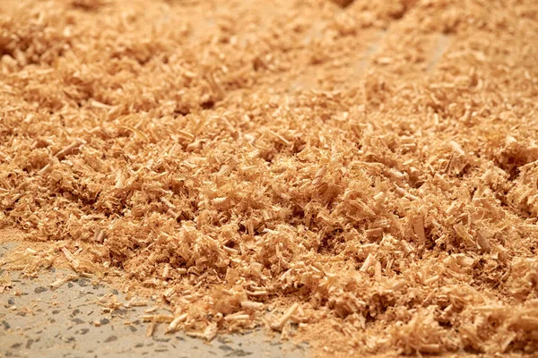 Closeup Lot Wood Shavings Concrete Floor Carpenter Workshop Industrial Background — Foto Stock