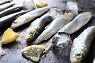 Fotokopi alanı olan gri beton bir arka planda tabakta taze yakalanmış küçük deniz balığı. Sardalyalar limonla pişirilmeye hazır, kaba deniz tuzu.. 