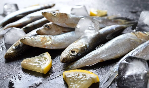 Peces Pequeños Mar Recién Capturados Plato Sobre Fondo Hormigón Gris —  Fotos de Stock