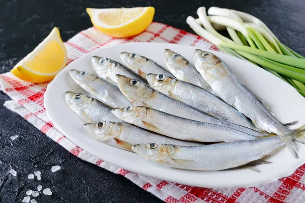 Freshly Caught Sea Small Fish Plate Gray Concrete Background Copy — Stock Photo, Image