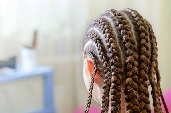 Coiffure Avec Nombreuses Petites Tresses Tressées Vue Arrière Gros Plan — Photo