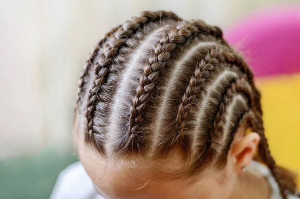 Fille Avec Beaucoup Petites Tresses Texture Des Tresses Gros Plan — Photo