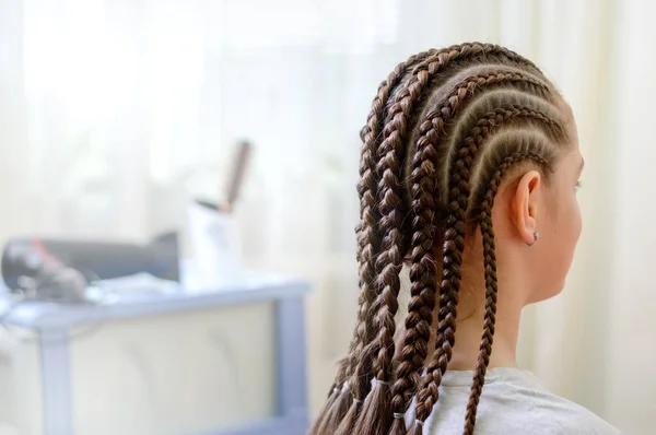 アフリカスタイルの美しい夏の髪型と美容院の女の子 女の子の頭の上に多くの細い組 — ストック写真