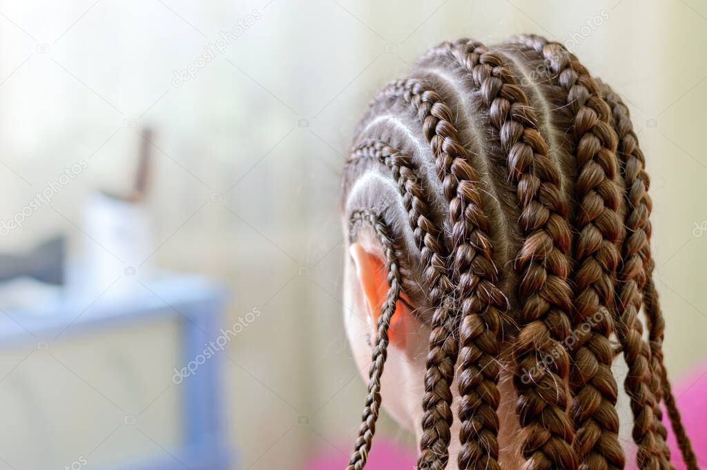 Hairstyle with many small plaited braids. Rear view, close-up. Selective focus.