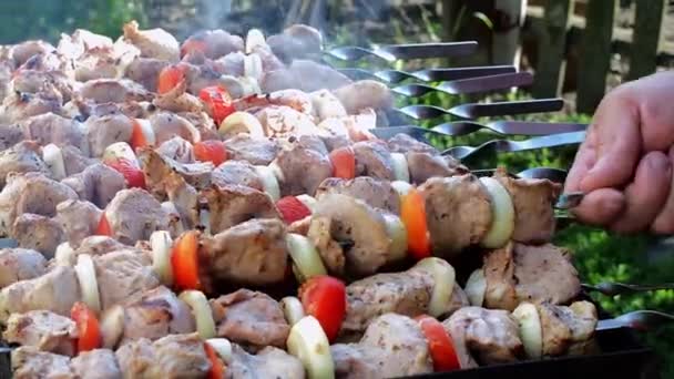 Man Hands Rotating Skewers Shish Kebab Grilling Shashlik Close — Video Stock