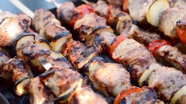 Home Made Meat Pork Shashlik Vegetables Grill Fire Sunny Day – Stock-video