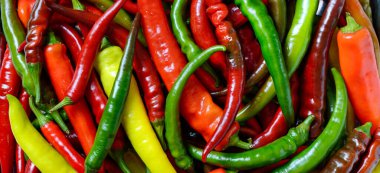 Abundance of red, yellow and green hot peppers, natural background. Banner.