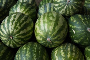 Yiyecek pazarında karpuz..