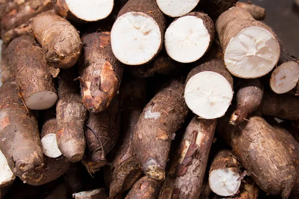 Raiz Mandioca Fresca Mercado Alimentos — Fotografia de Stock