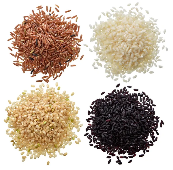 Four Varieties Grain Rice Black Rice White Rice Brown Rice — Fotografia de Stock