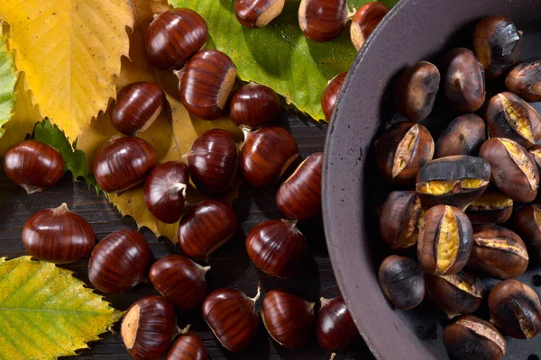 Roasted Chestnuts Iron Pan Chestnuts Leaves Close 免版税图库照片