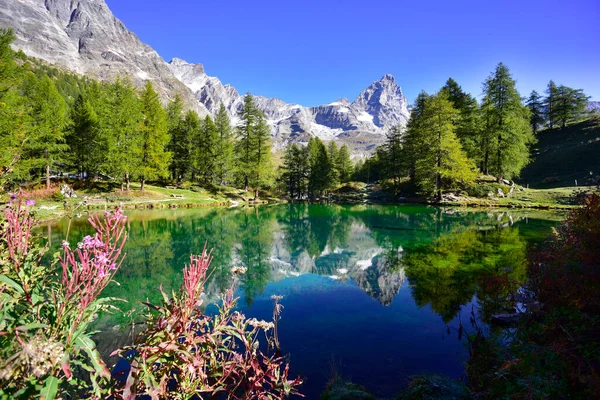 View Matterhorn Reflected Blue Lake Breuil Cervinia Valtournenche — Fotografia de Stock