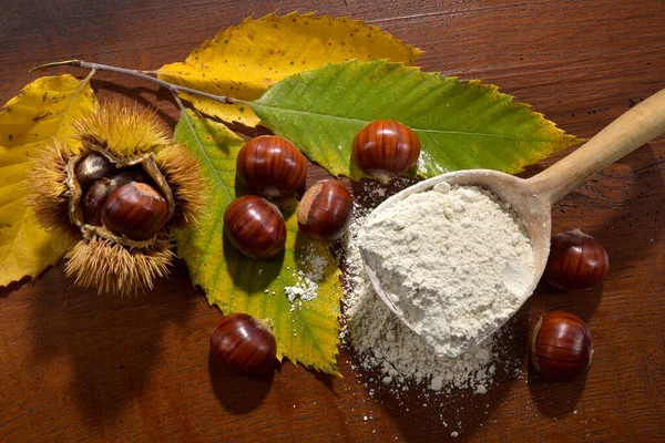 Chestnut flour with chestnuts, leaves and chestnut hedgehogs 