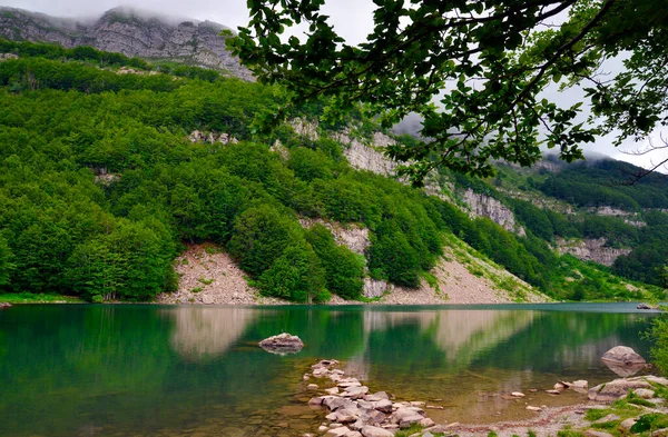 View Lake Santo Modenese Summer 免版税图库图片