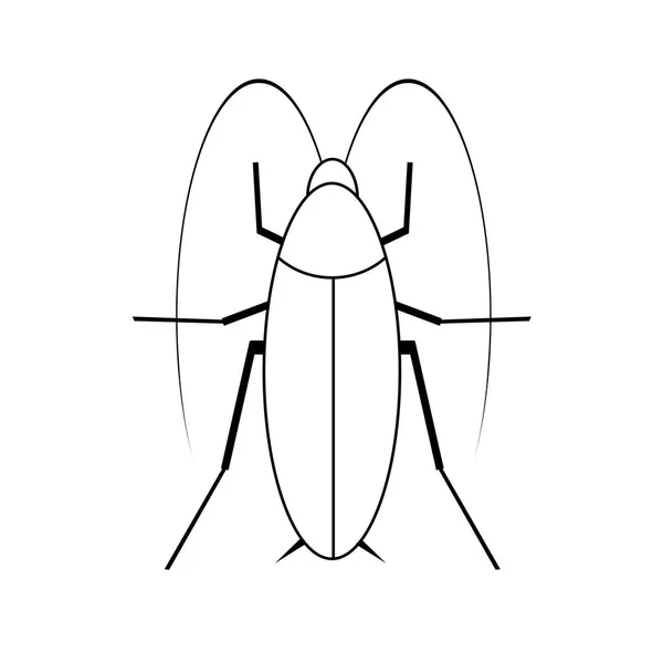 Black Cockroach Long Whiskers White Background — 图库照片