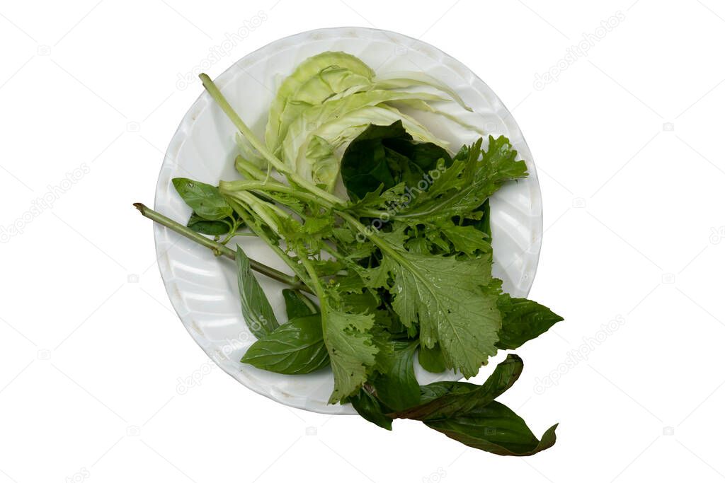 Vegetables on a white plate together with white cabbage, Basil and Mustard Green. on isolated white background.