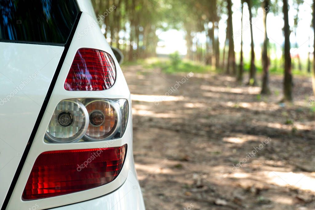 Close-up Tail ligth of white car. Parking in the plantation of rubber trees. with light for background.
