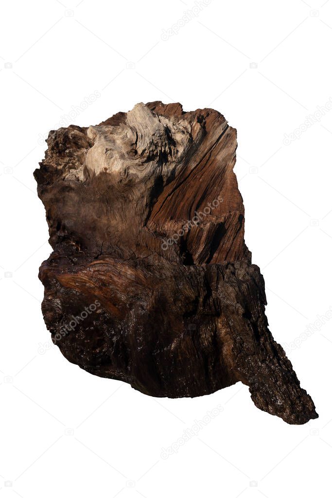 Remains of timber on the ground And there are water stains from the floor below. And dry top. For decoration in the fish tank. On isolated white background with clipping path.