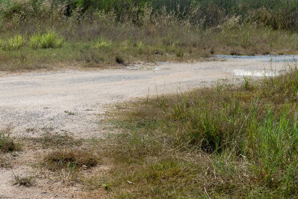 Dirt Road Cuts Tropical Grasslands Road Conditions Dry Waterlogged — Stock fotografie