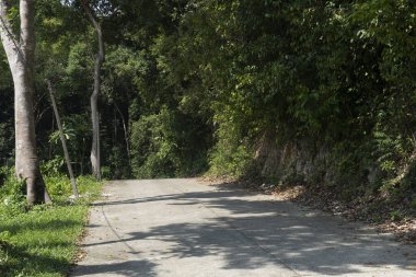 Yokuş yukarı çimento yolu. Orman ağaçları ve yeşil çimenler dışında. Uzak yerleşim alanlarına girmek için küçük elektrik direği.