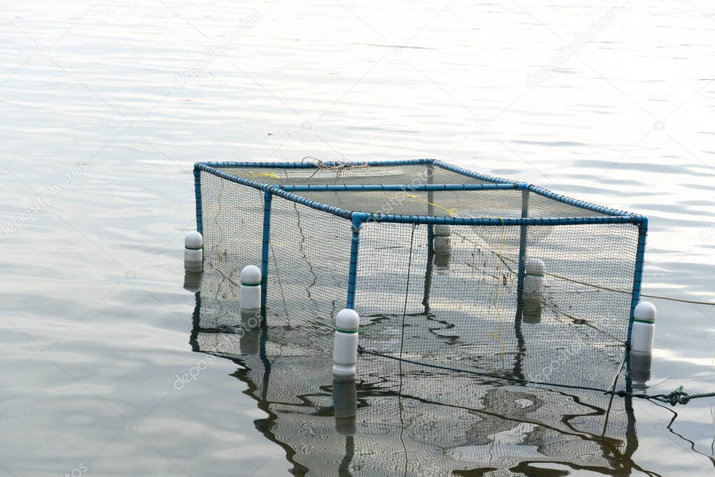 Cages for fishing, constructed from blue PVC pipes covered with rope nets. Float with white plastic buoys on the water surface.