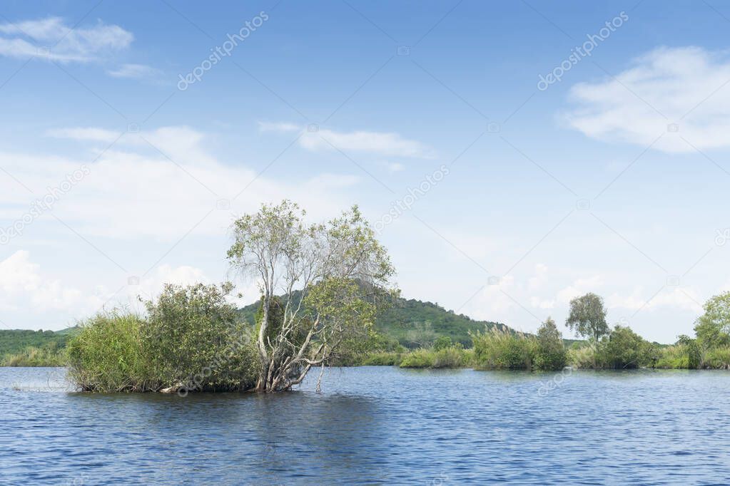 Landscape view of watershed area covered and surrounded by mangroves. With mountain under blue sky for background. At Rayong Provincial East Plant Center of Rayong Thailand.