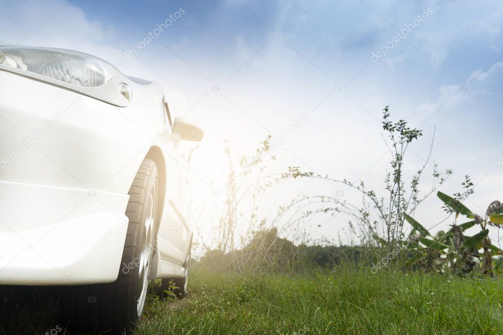 Beside front of white car driving on the green grass. With trees of garden under bluesky. Travel trip in the countryside.