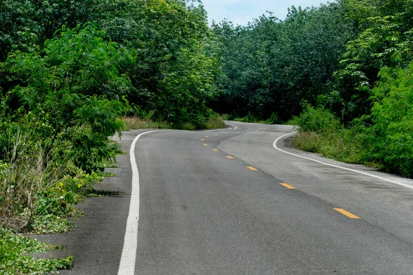 Asfalt yol ileri geri kıvrılır. Yanında iki kauçuk ağacı olan. Ağaçlar her iki tarafta da yoğun bir şekilde büyüyordu. Beyaz çizgi ve yoldaki düz sarı çizgi. Tayland 'da tarım alanı.